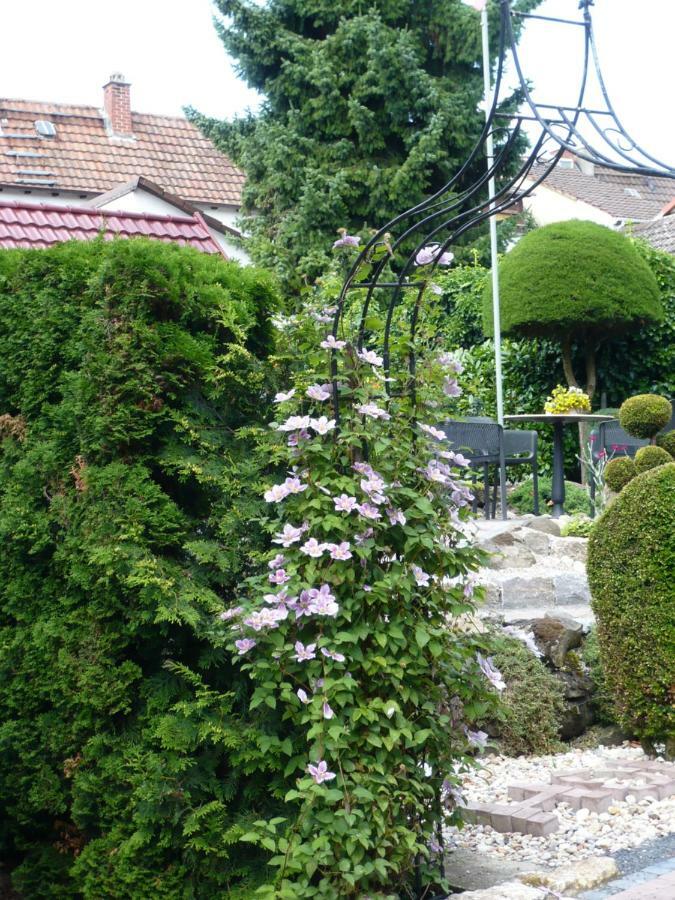 Haus Anna An Der Stadtmauer Hotel Hanau Exterior photo